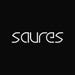 Saures store logo
