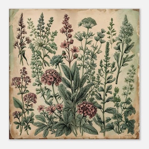 Vintage Botanical Wall Art – Wildflower Herbarium Illustration | Antique Botanical Print | Cottagecore Plant Poster