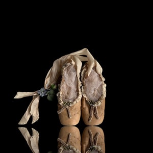 Pointe schoenen Etsy Nederland