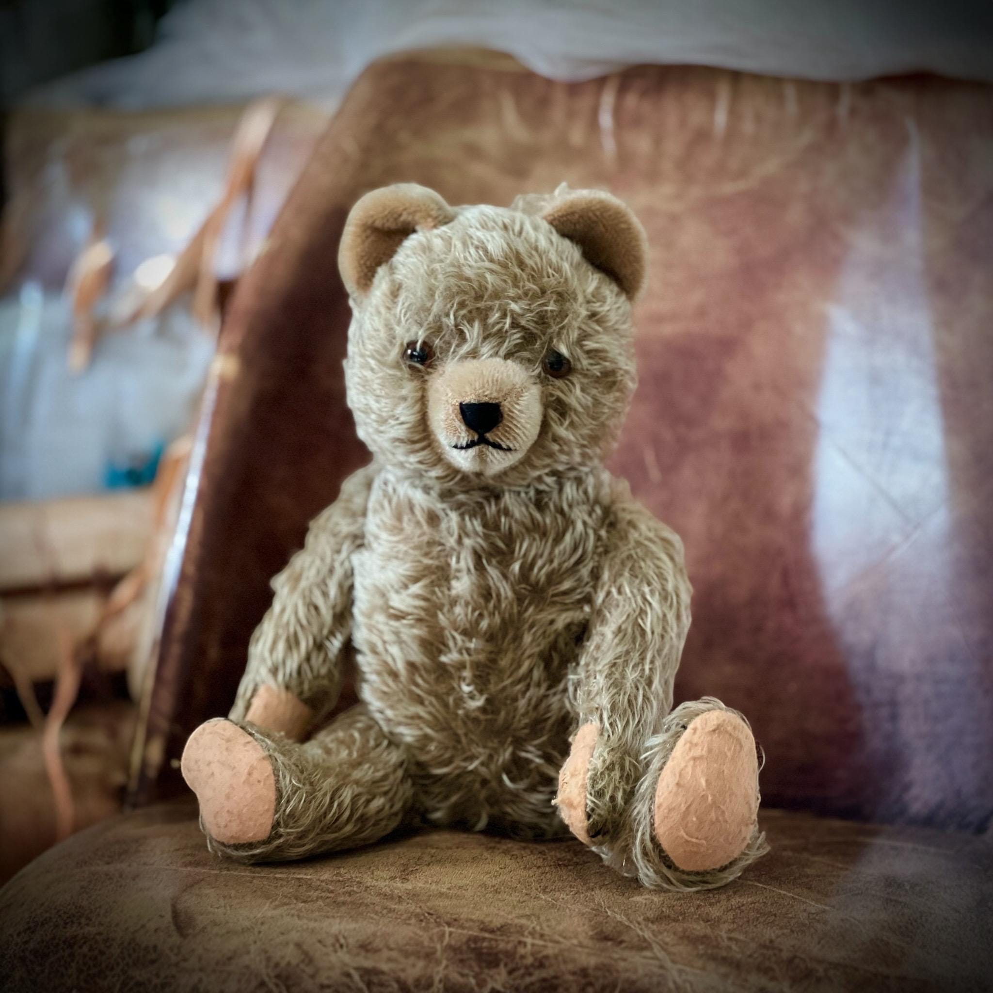 Ancien Ours En Peluche À VENDRE! - FR