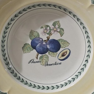 Peut inclure: Un bol rond en céramique à bord festonné, avec un centre crème et un rebord jaune pâle orné d'un liseré vert. Le centre présente une illustration botanique de trois prunes bleu foncé, des feuilles vertes, des fleurs blanches et le texte Prunus Domestica.