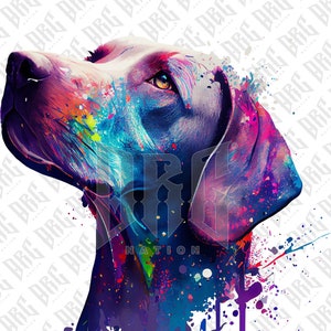 Weimaraner Dog PNG | Colorful Weimaraner Dog Breed Sublimation for Shirts Art Mugs Tumbler | Dog Portrait PNG | Dog Illustration