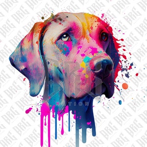 Weimaraner Dog PNG | Colorful Weimaraner Dog Breed Sublimation for Shirts Art Mugs Tumbler | Dog Portrait PNG | Dog Illustration
