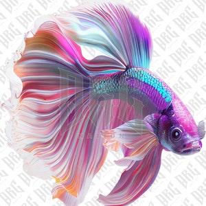 Può includere: Un pesce betta iridescente e vibrante con pinne multicolori e fluide. Il pesce è rosa, viola, blu e arancione con accenti bianchi. Il pesce nuota con le pinne spiegate.