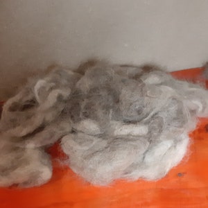 dog wool image 1