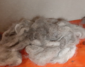 dog wool