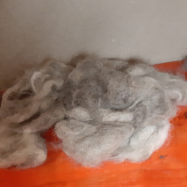 dog wool