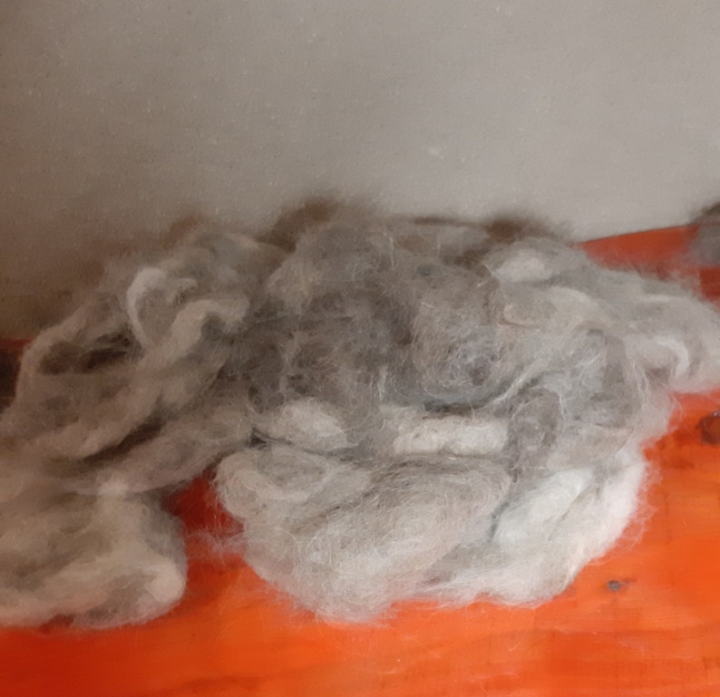 dog wool image 1