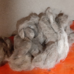 dog wool image 4