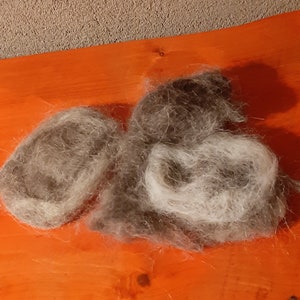 dog wool image 3