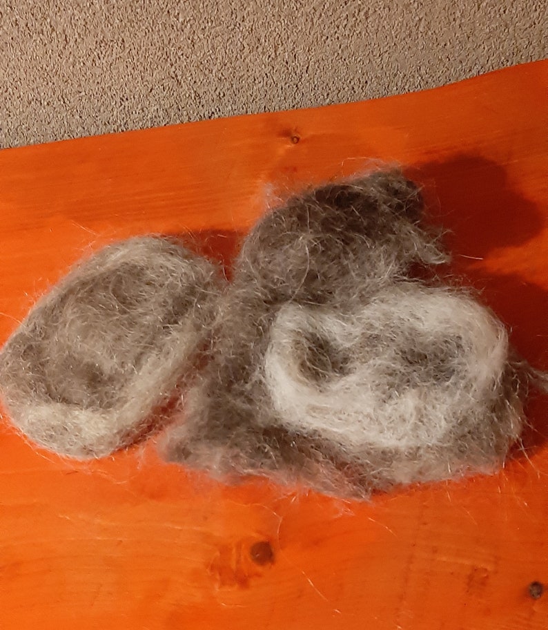 dog wool image 3