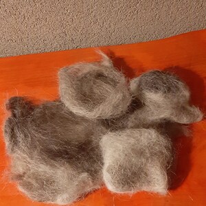 dog wool image 2