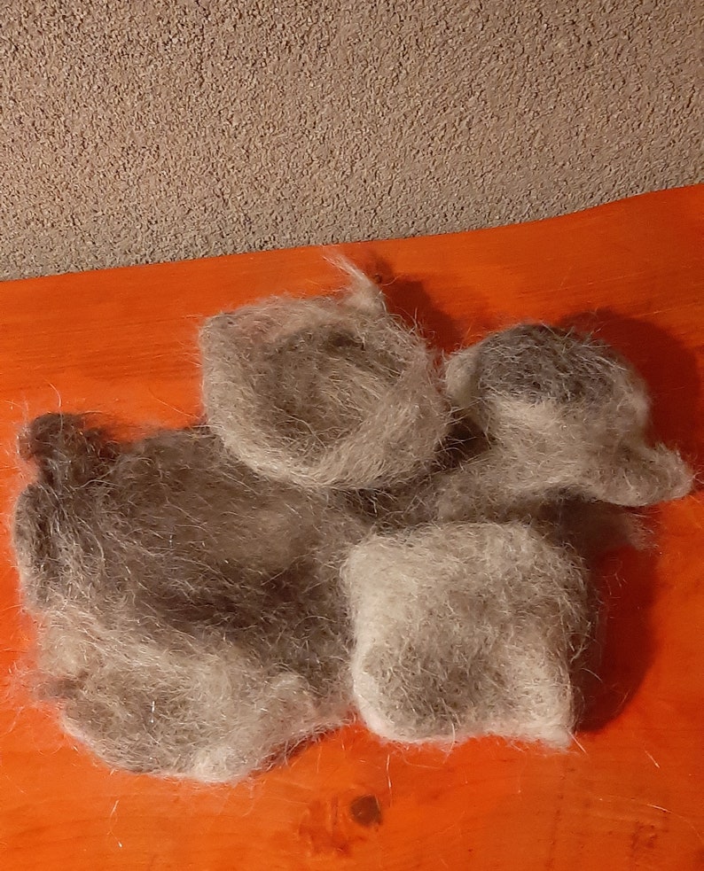 dog wool image 2