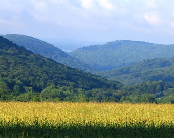 Catskill Mountains landscape, country, rustic, country decor, valley, photographs, photos, prints, photography