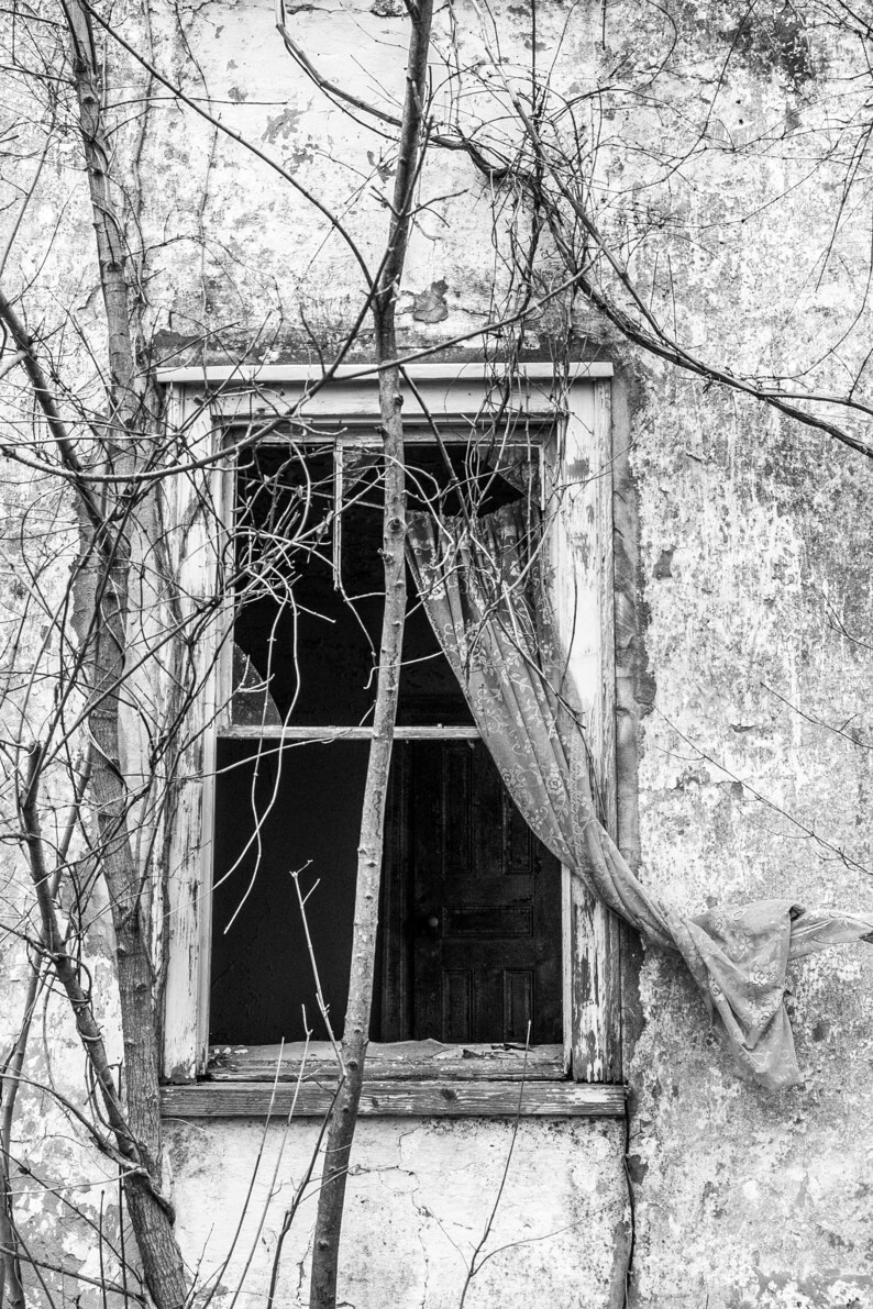 May include: A black and white photo of a window with a broken pane and a curtain hanging out of it. The window is in a dilapidated building with peeling paint. The window is framed by a tree branch.