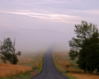 Foggy country road, Photographs, photos, prints, photography