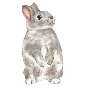 Digital Download Hand gezeichneter Hase Grafik Download PNG Niedlich Baby Tier Einladung Tshirt Original Kunst Aquarell Kinderzimmer Ostern