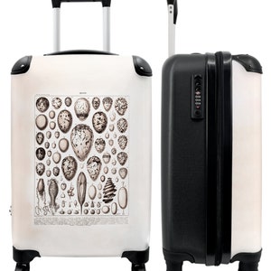 Koffer - handbagage - vintage - eieren - illustratie - vogels