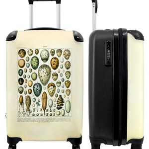Koffer - handbagage - eieren - natuur - dieren - vintage - illustratie
