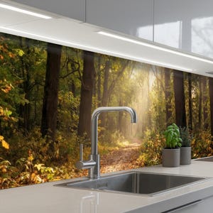 Può includere: Un paraschizzi da cucina con una scena di foresta con un sentiero che conduce alla luce del sole. Un rubinetto e un lavello in acciaio inossidabile sono di fronte. Due piccole piante in vaso sono sul piano di lavoro.
