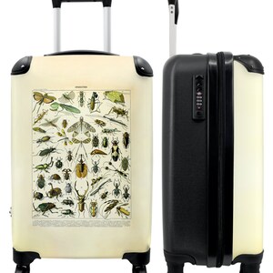 Koffer - handbagage - insecten - dieren - vintage - natuur