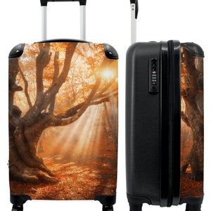 Koffer - handbagage - bomen - zon - herfst - bos