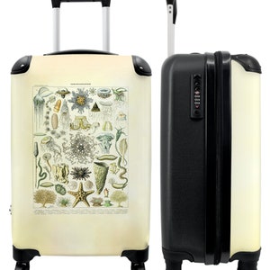 Koffer - handbagage - vintage - illustratie - dieren - koraal - natuur
