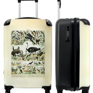 Koffer - handbagage - vogels - natuur - vintage - illustratie - art