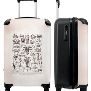 Koffer - handbagage - vintage - kreeft - zeedieren - illustratie - art