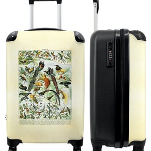Koffer - handbagage - vogels - vintage - kunst - millot - illustratie