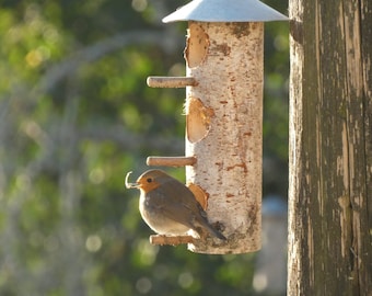 May include: A robin perched on a bird feeder made from a birch log. The feeder has a metal roof and multiple feeding holes. The robin is holding a piece of food in its beak.