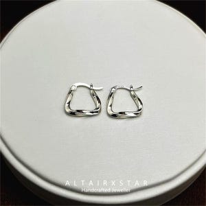 S925 Sterling Silver Geometric Earrings