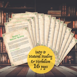 Sorcellerie verte 101 : 8e leçon, fabrication de sorts de magie verte, 30 pages en téléchargement numérique sorcellerie grimoire d&#39;herboristerie magique bébé sorcière