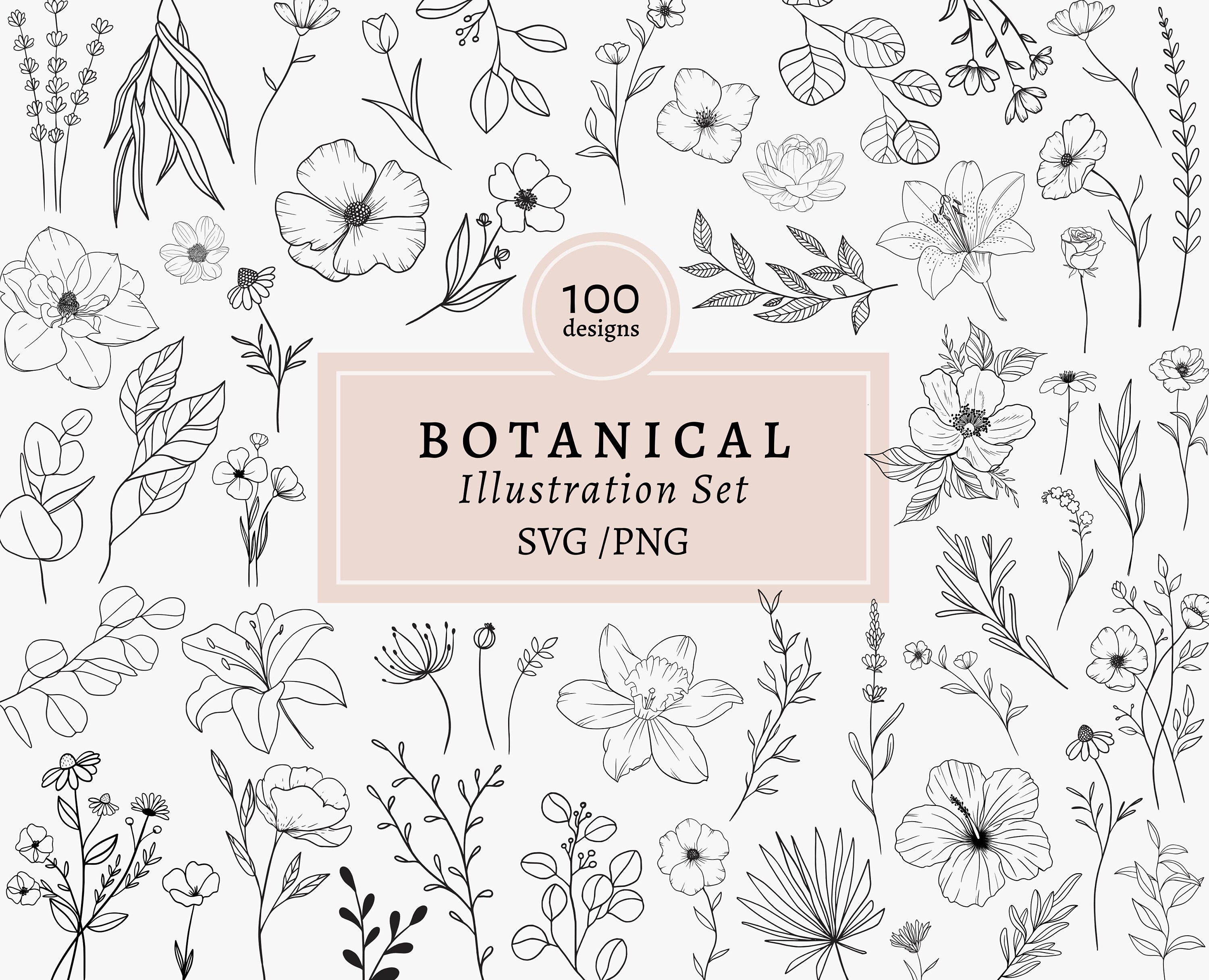 100 Floral Svg Bundle Botanical Svg Flower Svg Floral - Etsy