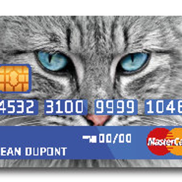 Sticker pour Carte Bancaire Chat au yeux bleu
