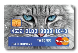 Sticker carte bleu Chat