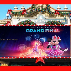 DISNEYLAND PARIS Printable Disneyland Ticket Template Editable Gift ...