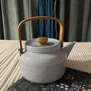 May include: A light blue enamel teapot with a wooden handle and lid knob. The teapot has a speckled pattern and sits on a floral patterned coaster. The handle is made of light brown wood and is attached to the teapot with metal brackets.