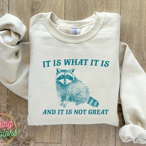 It Is What It Is And It Is Not Great Sweatshirt, Vintage Sweatshirt, Raccoon Sweatshirt, Mental Health Sweatshirt, Funny Sweatshirt Women
