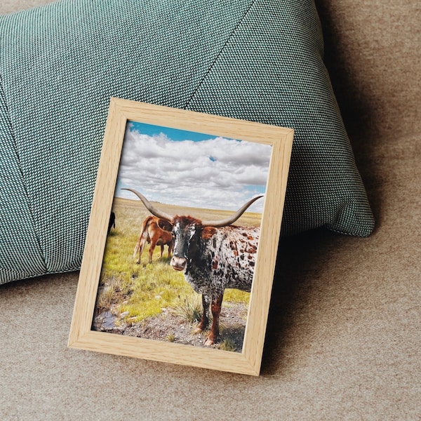 Speckled Longhorn Cattle | Digital Print | Farmhouse Print | Rustic Feel Photography | Nature Shot | Farm Mood | Cow Vibe | Printable