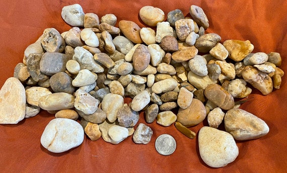 Box of Small Rocks 4 Cups/4 Pounds Assorted Sizes Free Shipping