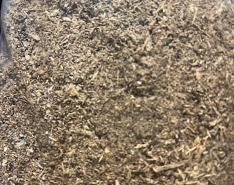 Shredded Hardwood Wood Rot: Terrarium Habitat Flora