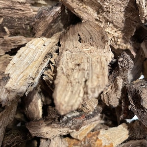 May include: Close-up of a pile of dried, brown, and gray bark chips. The bark is rough and textured, with some pieces showing signs of weathering.
