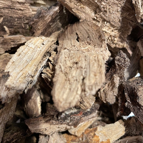 Hard wood decomposing matter “wood rot”- 1-4 inch pieces Free Shipping