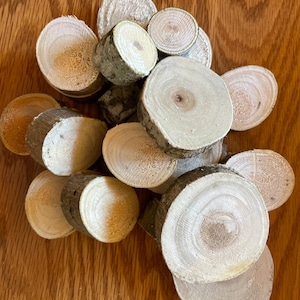 Mimosa tree wood slices - Baker’s Dozen - free shipping
