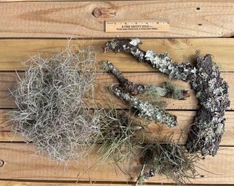 Live Lichen Variety Pack: Moss, Air Plants, Bark for Terrarium