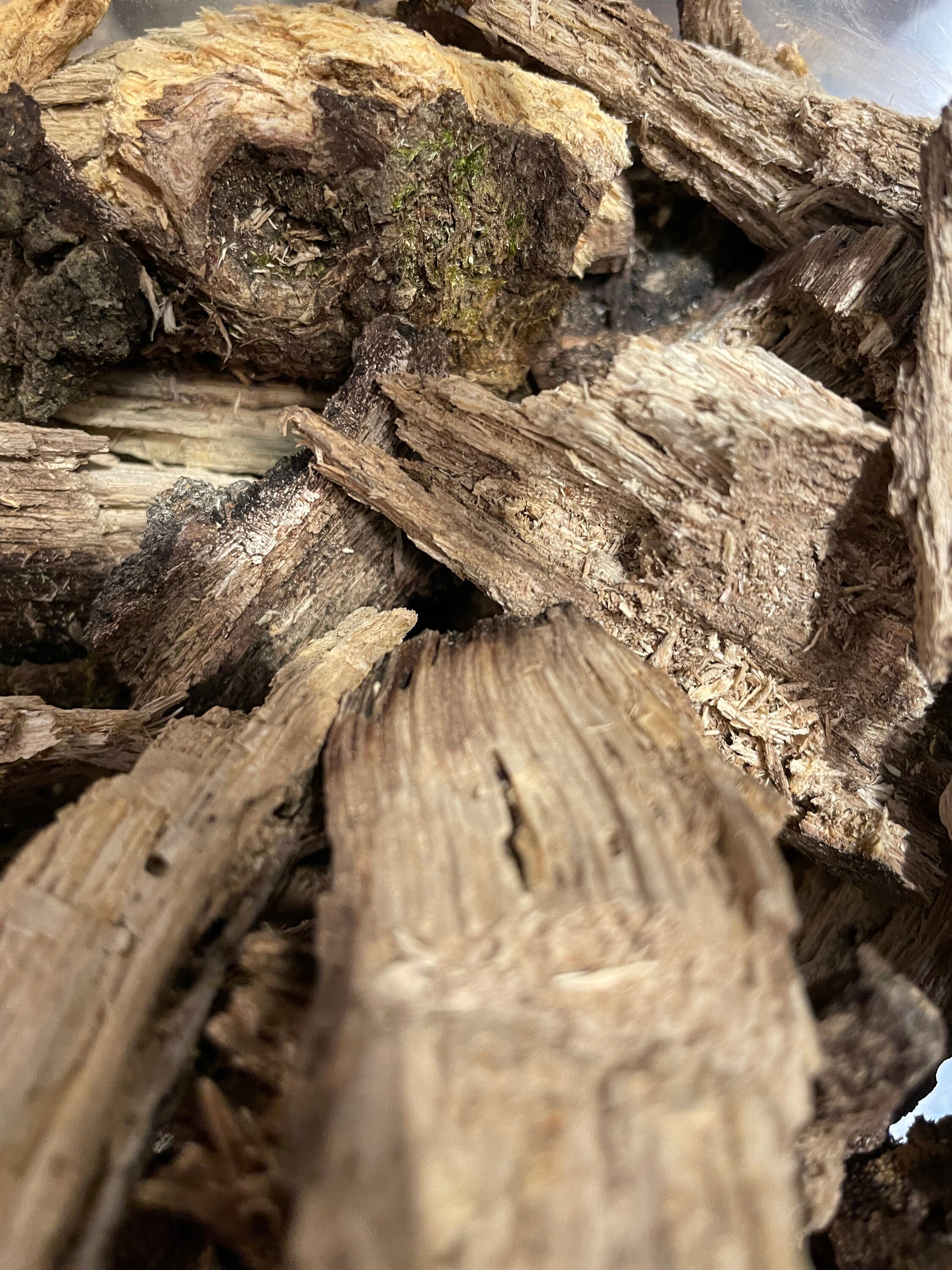 Hard Wood Decomposing Matter “wood Rot”- 1-4 Inch Pieces
