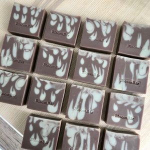 Cedarwood Eucalyptus Handcrafted All Natural Soap | Handmade Body Vegan