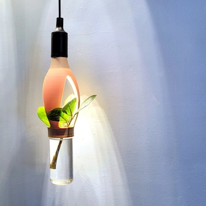 May include: A pink glass light fixture with a clear glass cylinder inside. A small green plant is growing inside the cylinder.