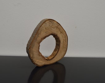 Tree disc wooden pieces beech hollow tree trunk solid picture frame or decoration rustic wooden tube wooden disc wooden ring